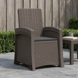 Cadeira de jardim reclinável com aparência de rattan PP