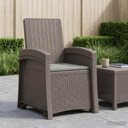 Cadeira de jardim reclinável com aparência de rattan PP