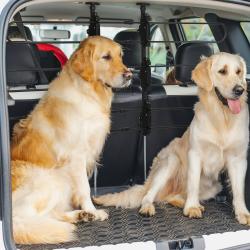 Grade de Segurança Carro para Cães Ajustável 150x9x76-124 cm Grade de Segurança Universal para Porta Malas para Carros Grade de 