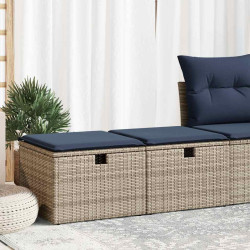 2 Pcs conjunto sofás jardim almofadões vime PE/acácia cinzento