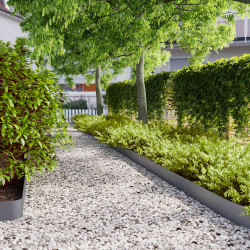 Orlas de relva 10 pcs antracite 15x103 cm aço laminado a frio