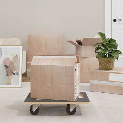 Carrinhos de transporte 2 pcs retangular 50x35x11,5 cm 250 kg