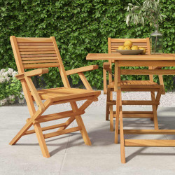 Cadeiras de jardim dobráveis 2 pcs 55x62x90 cm teca maciça