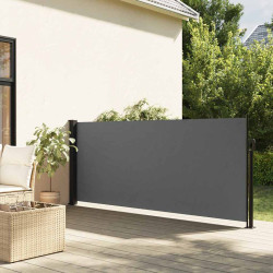 Toldo lateral retrátil antracite 117x300 cm