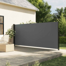 Toldo lateral retrátil antracite 160x300 cm
