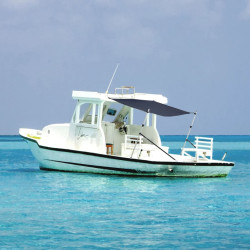 Extensão de toldo em t 170x208x(115-183) cm azul-marinho