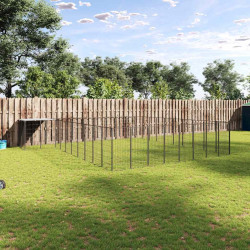 Canil 25,41 m² aço preto