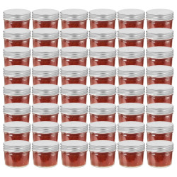 Frascos de vidro com tampas prateadas 48 pcs 110 ml