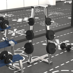 Discos de musculação 6 pcs 30 kg ferro fundido