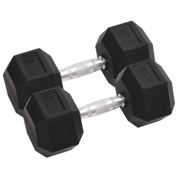Halteres 2 pcs 12,5 kg total ferro fundido