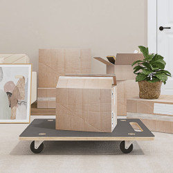 Carrinhos de transporte 2 pcs retangular 80x55x11,5 cm 250 kg