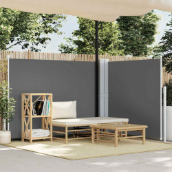 Toldo lateral retrátil 140x1000 cm antracite