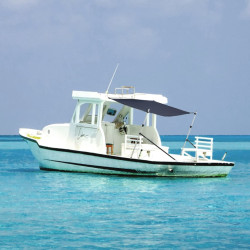 Extensão de toldo em t 170x170x(115-183) cm azul