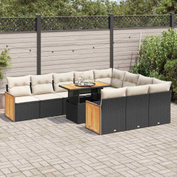 11 Pcs conjunto sofás jardim c/ almofadões vime PE/acácia preto