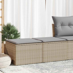 2 Pcs conj. sofás p/ jardim c/ almofadões vime PE/acácia bege