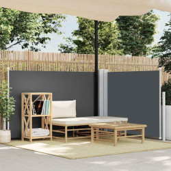 Toldo lateral retrátil 120x1000 cm antracite