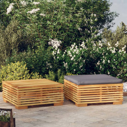 2 Pcs conjunto lounge de jardim madeira de teca maciça