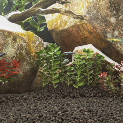 Pedras vulcânicas 10 kg 1-2 cm preto