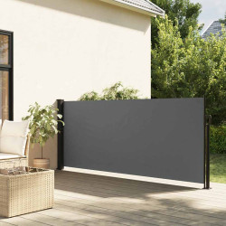 Toldo lateral retrátil antracite 140x300 cm