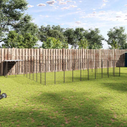 Canil 25,41 m² aço preto