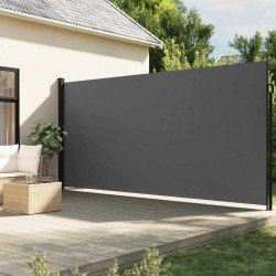 Toldo lateral retrátil antracite 220x300 cm