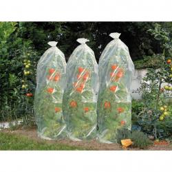 Nature Cobertura plástica para plantações de tomates 1500 x 50 cm - Imagen 2