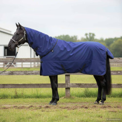 Cobertor de cavalo verde escuro e preto 115 cm poliéster