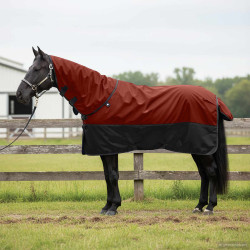 Cobertor de cavalo verde escuro e preto 95 cm poliéster