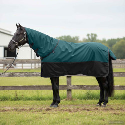 Cobertor de cavalo verde escuro e preto 165 cm poliéster