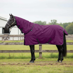 Cobertor de cavalo verde escuro e preto 75 cm poliéster
