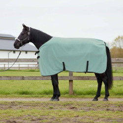 Cobertor de cavalo verde especial 115 cm poliéster