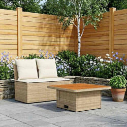 2 Peça sofá do meio para jardim com mesa elevatória vime PE