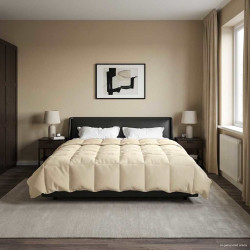 Duvet de ano inteiro colchonete creme 220 x 260 cm microfibra