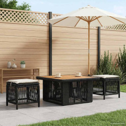 Conjunto de jantar para jardim 3 unid. bege e creme vime PE