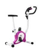 Bicicletas estáticas